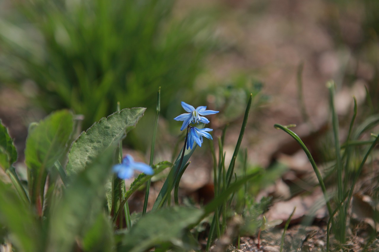 Is What are States Where Online Betting is Legal Legal in India? Complete 2026 Guide